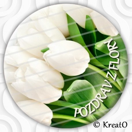 Button/placka - No.84