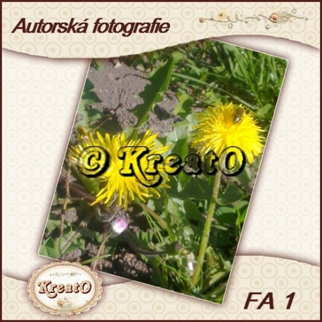 Autorská fotografie No.1
