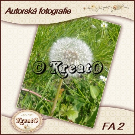 Autorská fotografie No.2