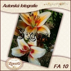 Autorská fotografie No.5